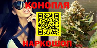 крисы Бузулук