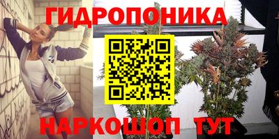 метадон Будённовск