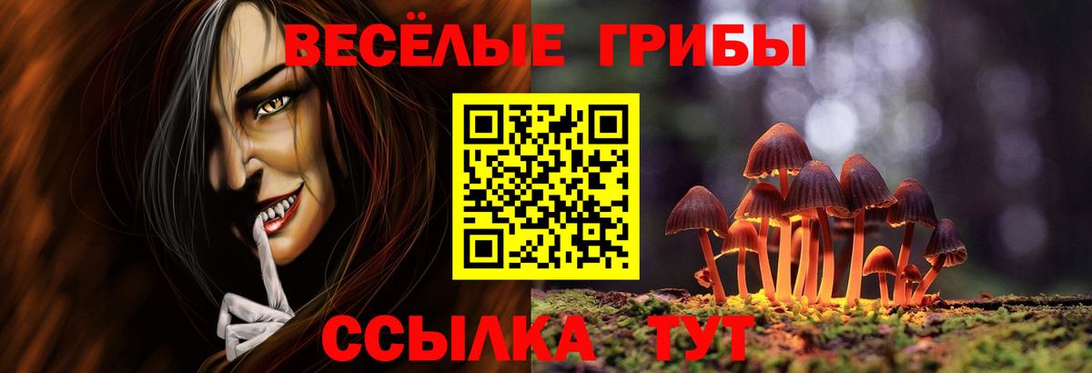 Псилоцибиновые грибы GOLDEN TEACHER  Псилоцибиновые грибы Cubensis  что такое наркотик  Евпатория  Вход с VPN 